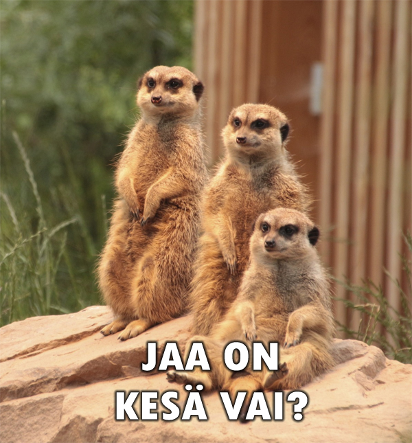 Nyt On Kesa