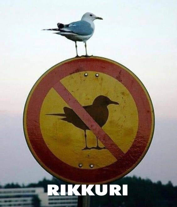 Rikkuri