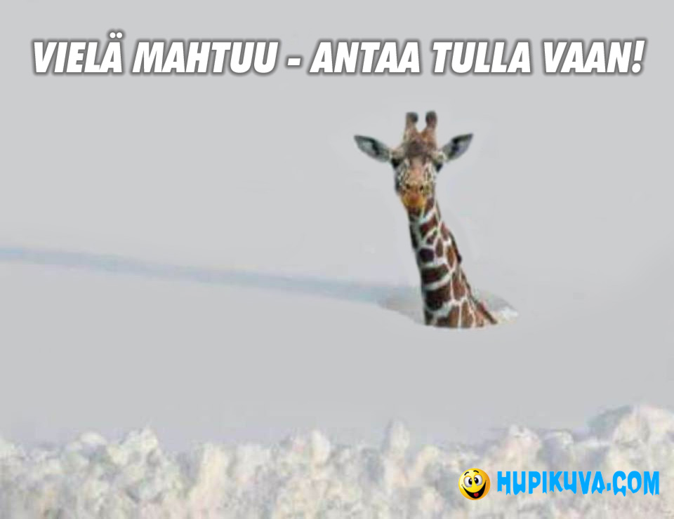 Vielä Mahtuu Lunta