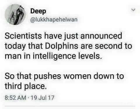 Viisaat Delfiinit